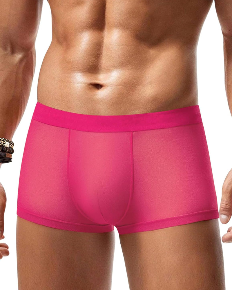 Men's Mesh Boxer Briefs Breathable Stretch Trunk Sexy Lingerie Underwear
