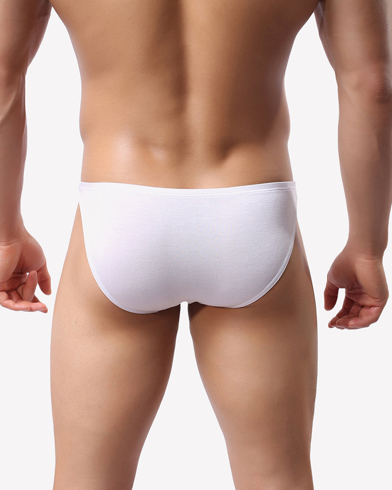 Men's Underwear 4 Pack Low Rise Microfiber Ice Silk Hip Briefs