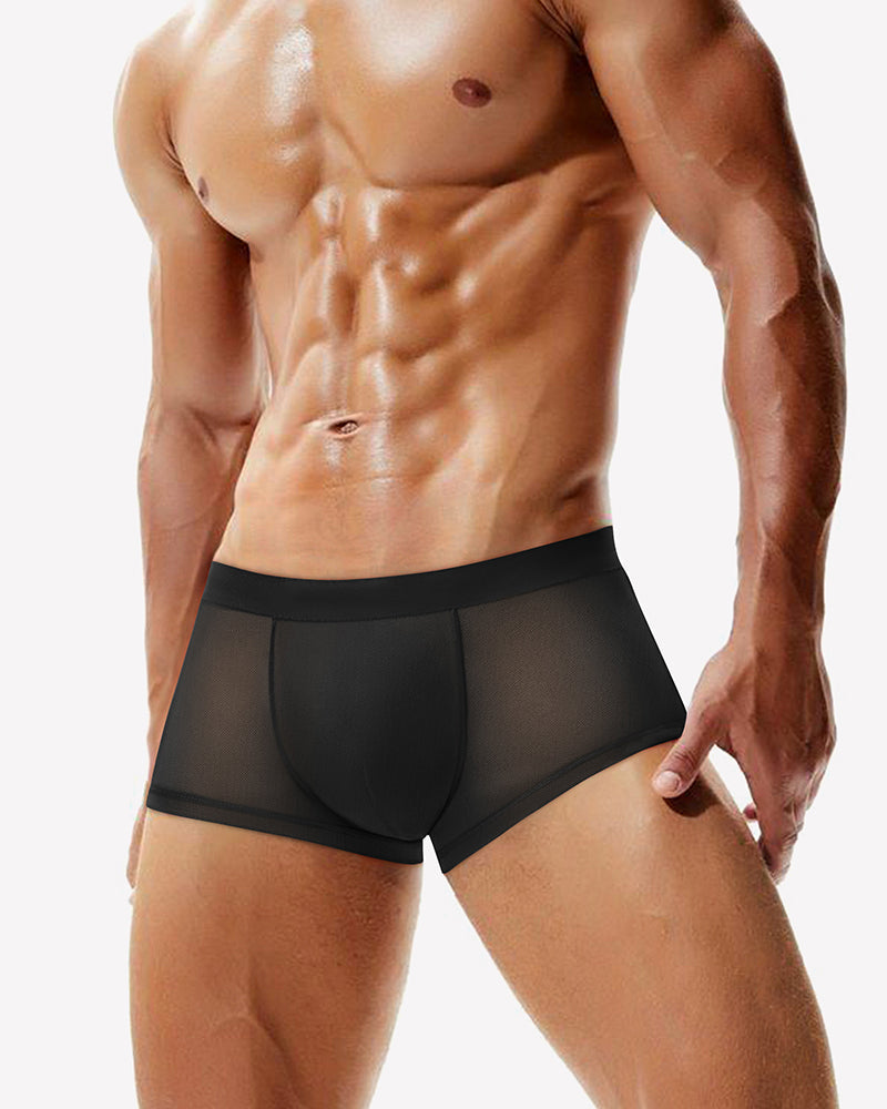Men's Mesh Boxer Briefs Breathable Stretch Trunk Sexy Lingerie Underwear