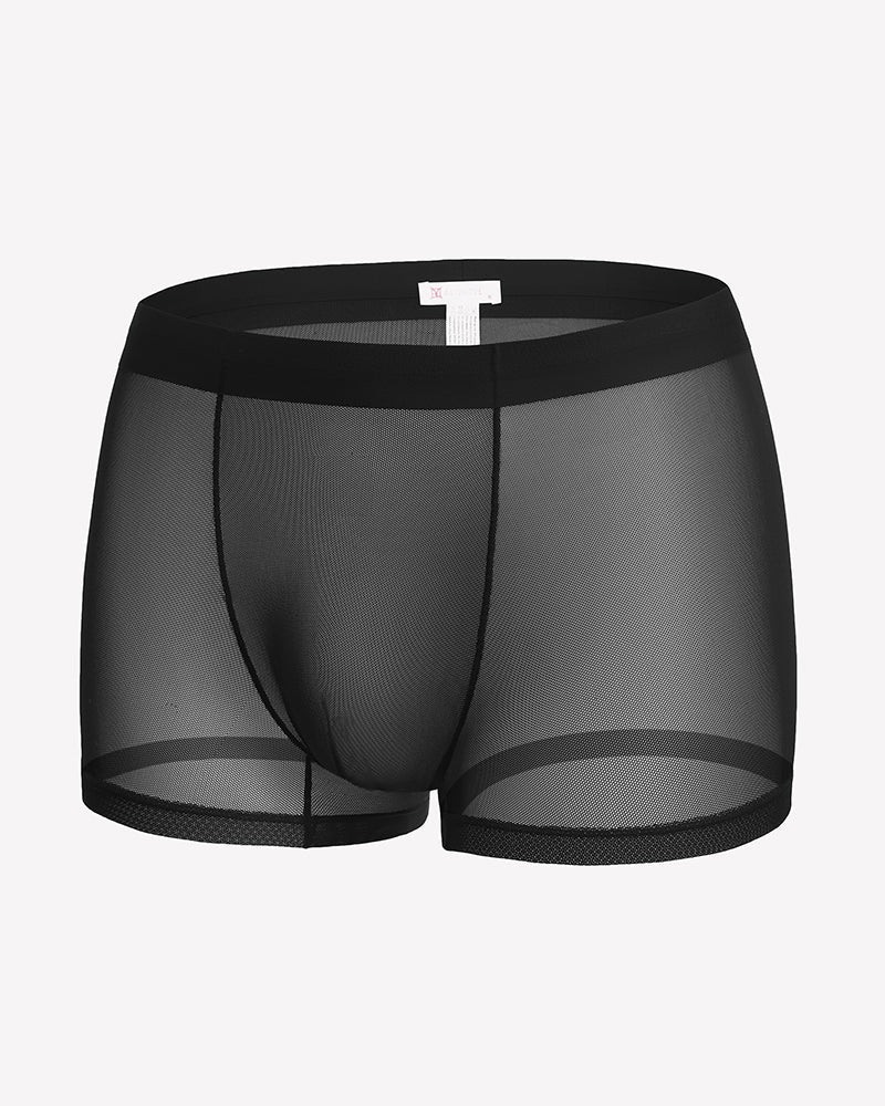 Men's Mesh Boxer Briefs Breathable Stretch Trunk Sexy Lingerie Underwear