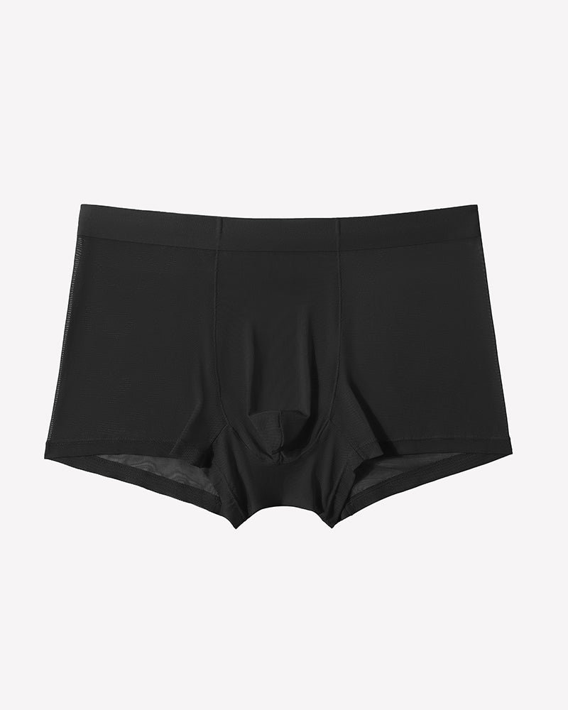 Men's Mesh Boxer Briefs Breathable Stretch Trunk Sexy Lingerie Underwear