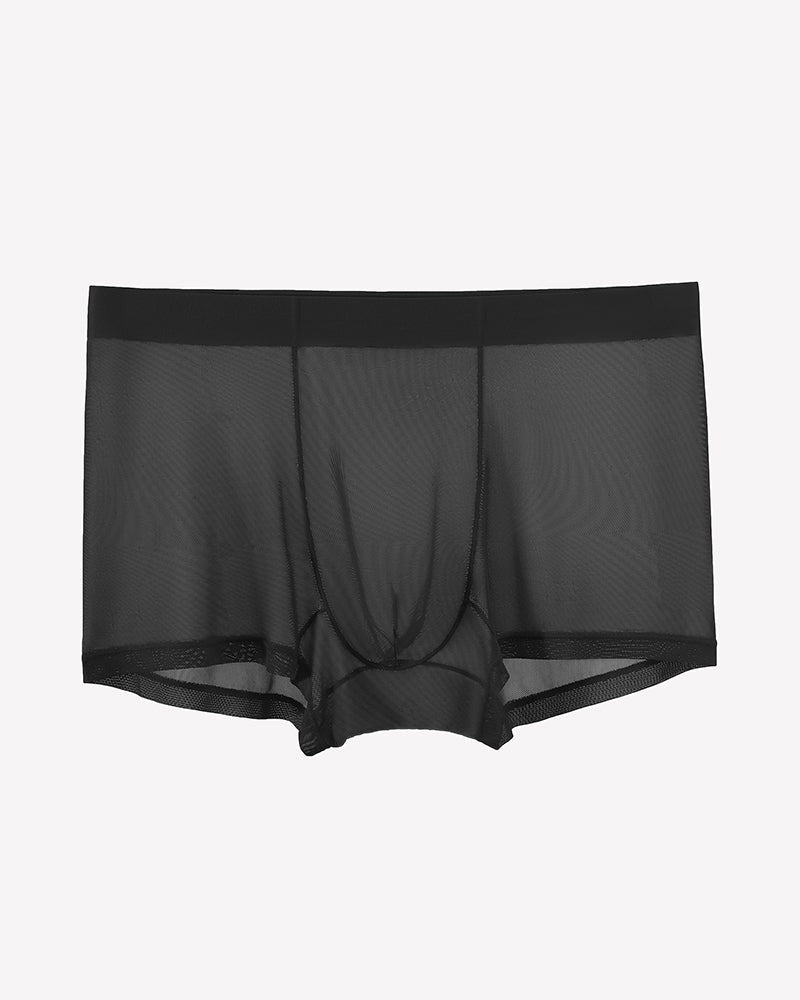 Men's Mesh Boxer Briefs Breathable Stretch Trunk Sexy Lingerie Underwear