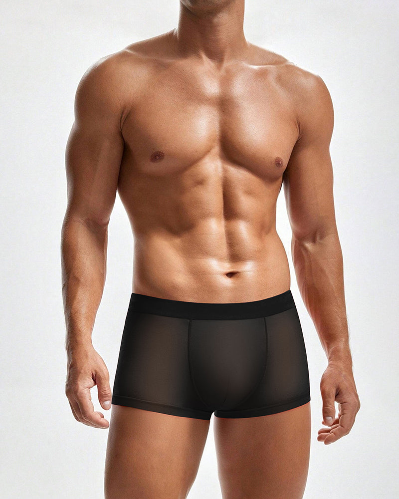 Men's Mesh Boxer Briefs Breathable Stretch Trunk Sexy Lingerie Underwear