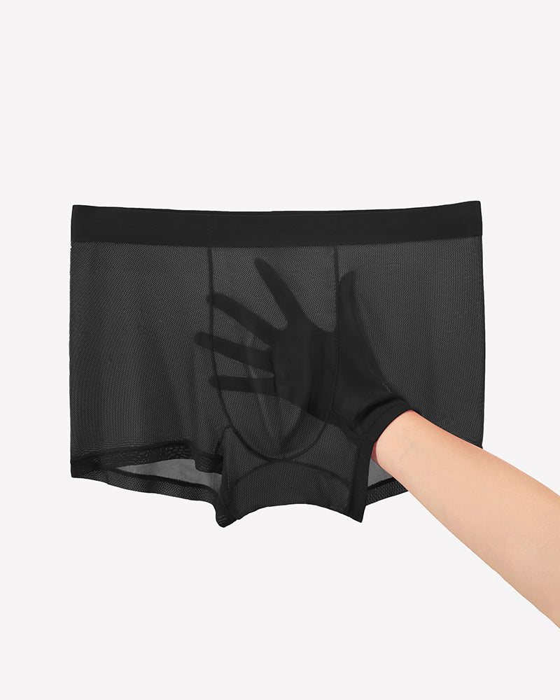 Men's Mesh Boxer Briefs Breathable Stretch Trunk Sexy Lingerie Underwear
