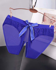 Sheer Mesh Satin Bow Panties High Cut Lingerie Briefs