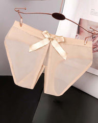 Sheer Mesh Satin Bow Panties High Cut Lingerie Briefs