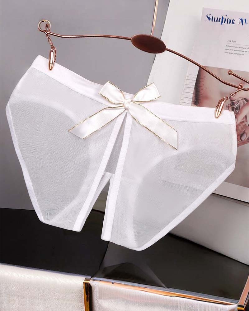 Sheer Mesh Satin Bow Panties High Cut Lingerie Briefs