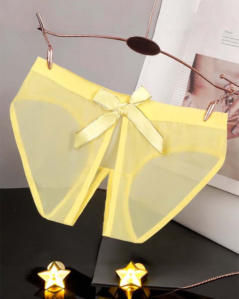 Sheer Mesh Satin Bow Panties High Cut Lingerie Briefs