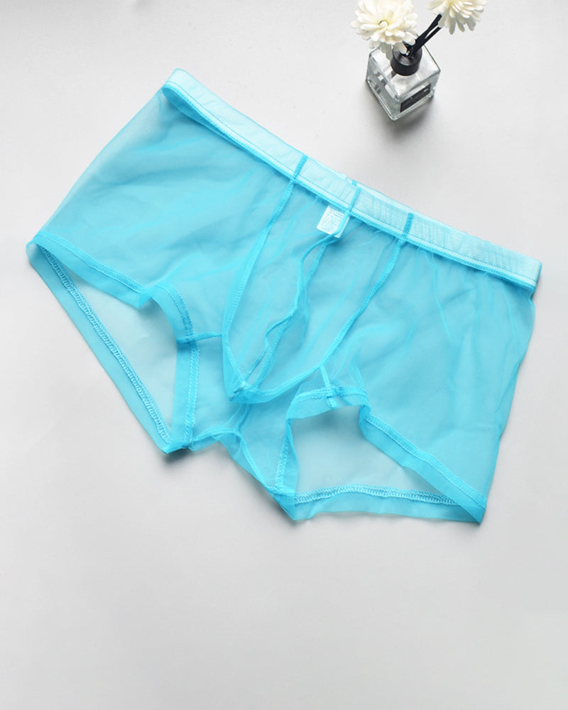Men's Sheer Mesh Boxer Briefs